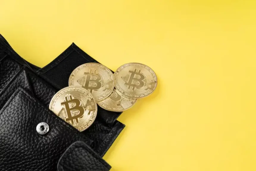 Ainda vale a pena investir em Criptomoedas